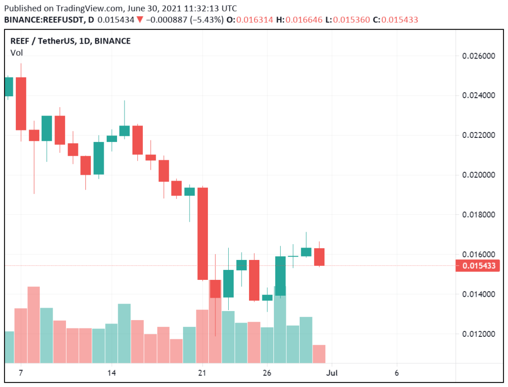 Reef Review Full January 2026 Guide | DeFi Coin Experts!